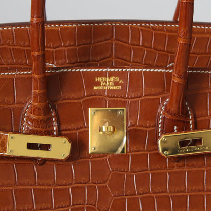 Hermes Birkin 35 Bag Matte Fauve Porosus Crocodile with Gold Hardware